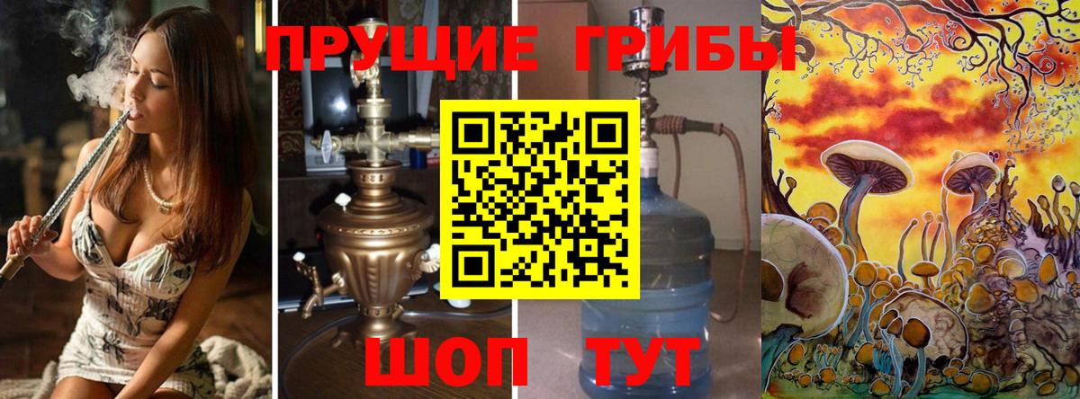 Галлюциногенные грибы Psilocybe Нальчик