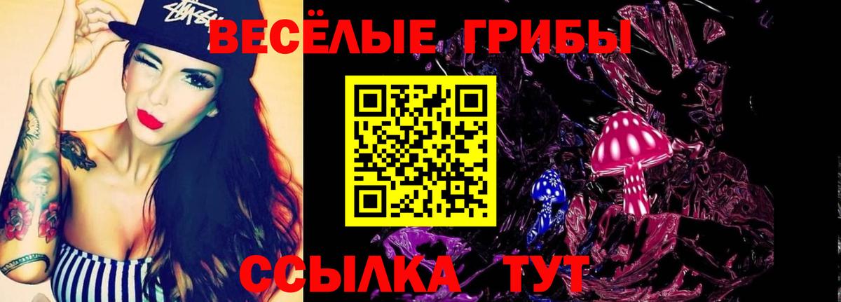 Галлюциногенные грибы мицелий  Вход с VPN  Нальчик 